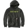 Carhartt Mens Rain Defender Loose Fit Graphic Sweater