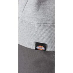 Dickies Mens Logo Graphic Relaxed Fit Fleece Hoodie -Cheap Tough Work Wears Store dic013 grey 05
